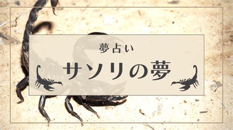 夢占い さそり|【夢占い】サソリの夢の意味を状況別に解説 